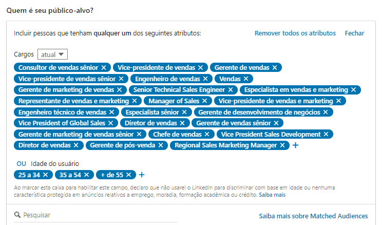 Público alvo - Linkedin