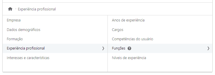 Experiência Profissional - Linkedin